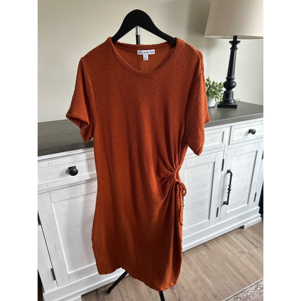 And Now This Womens 2X Rust Orange Side Tie Cinch Sheath Dress Plus Size